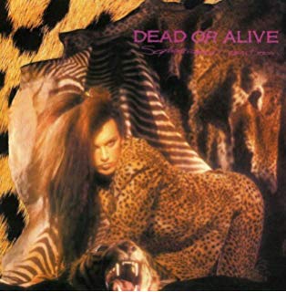 Dead Or Alive ? Sophisticated Boom Boom 320